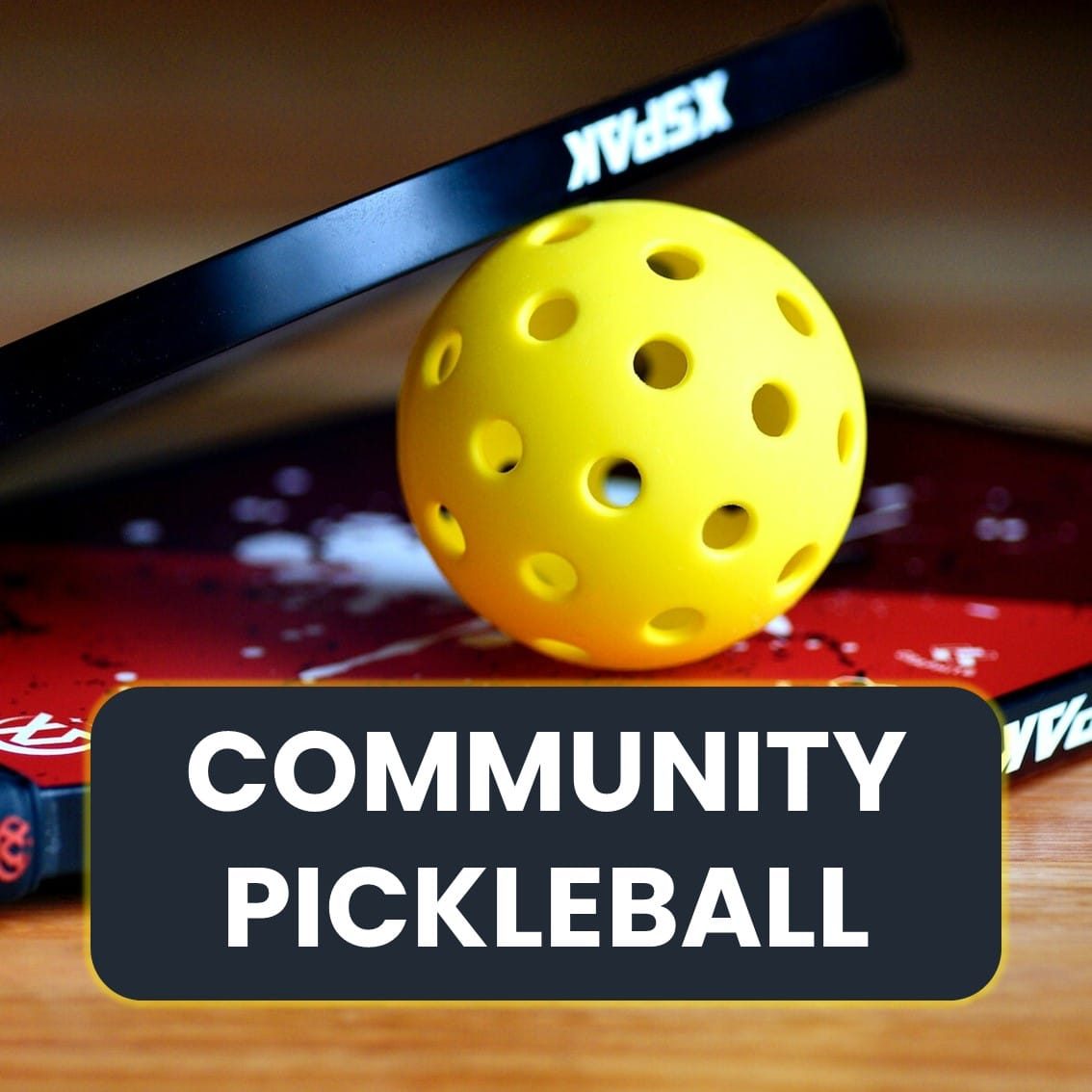 Pickleball Community Pickleball
